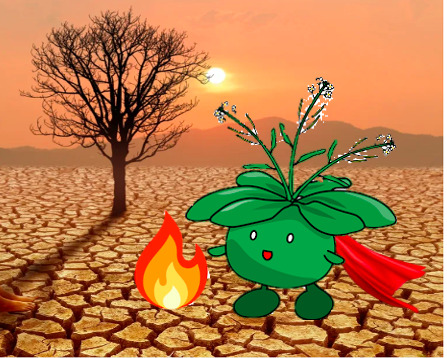 "Superalimentos en llamas: Plantas que desafían al calor"