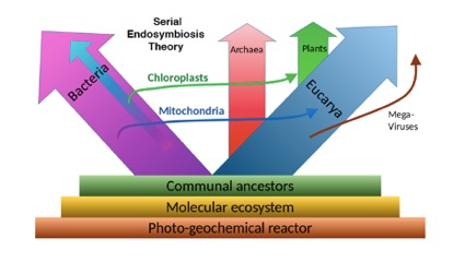 Estudio de la evolución del espacio de los elementos transponibles en plantas